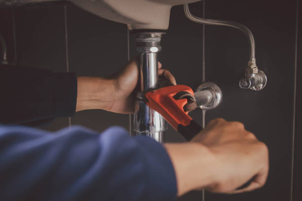 Best Plumbing Inspection Services  in Sand Point, AK